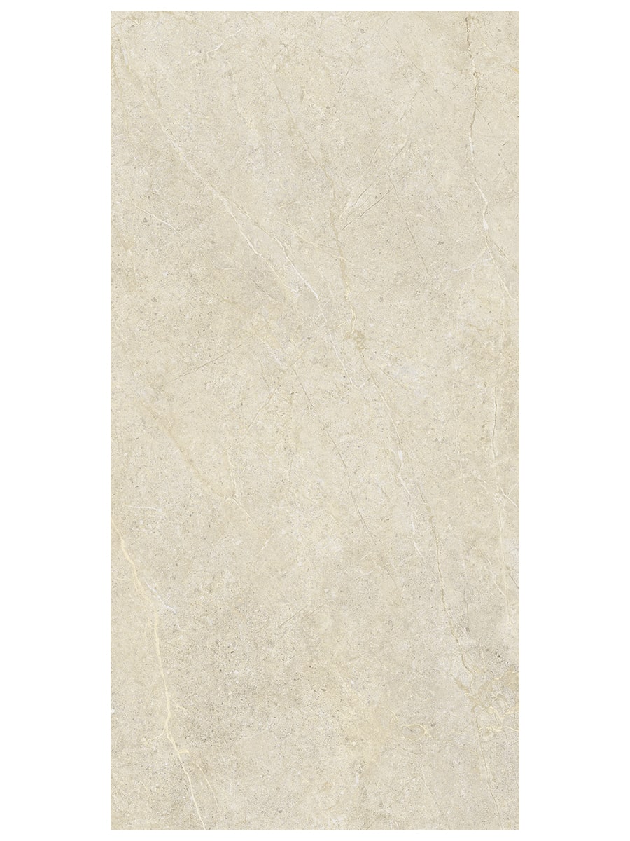 Wonder Sleet Italian Outdoor Porcelain Paving Slab - 1200x600x20mm